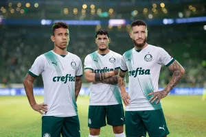 Materiais Do Palmeiras na Centauro